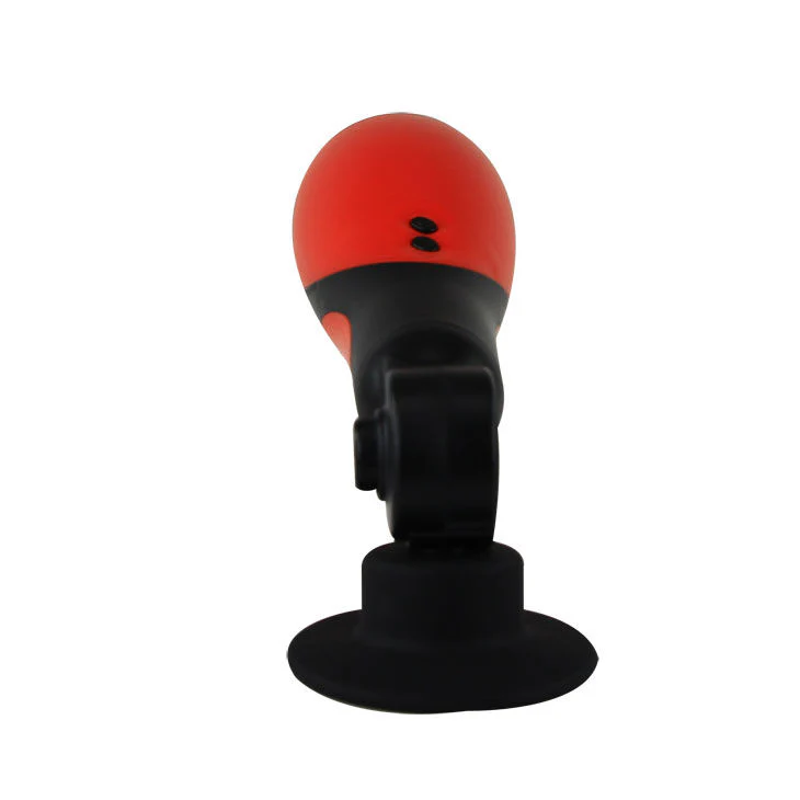 Miniatura 10