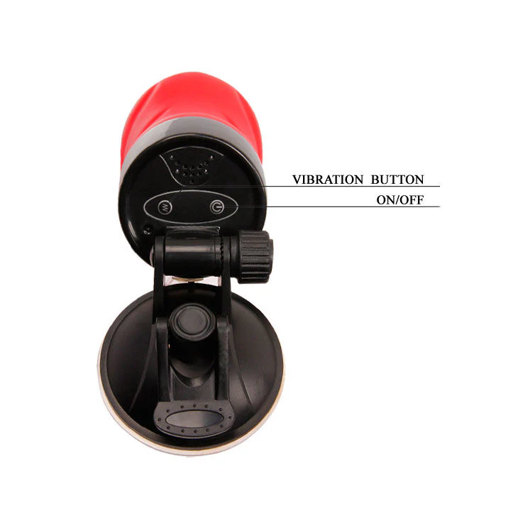 Miniatura 6