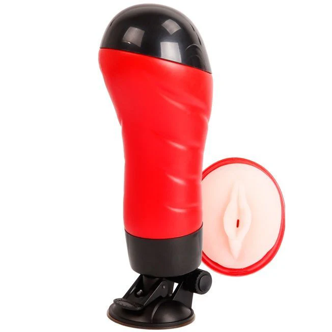 Miniatura 9